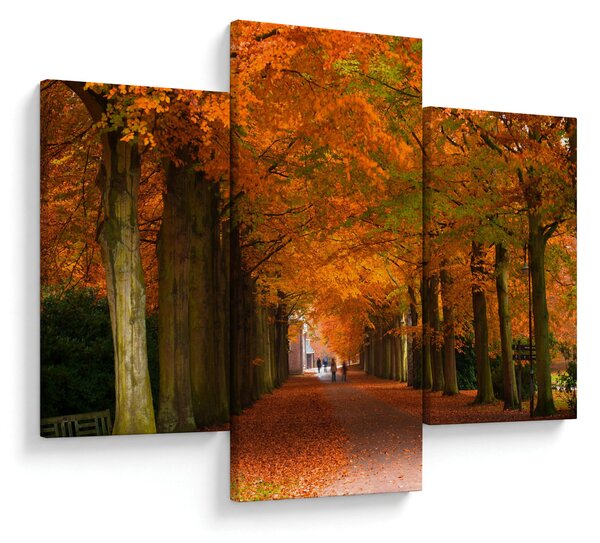 Kép - A Avenue of fák ősszel (90x60 cm)