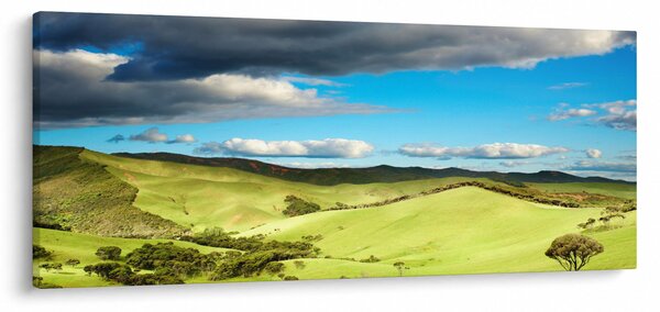 Kép - Zöld táj dombokkal (120x50 cm)