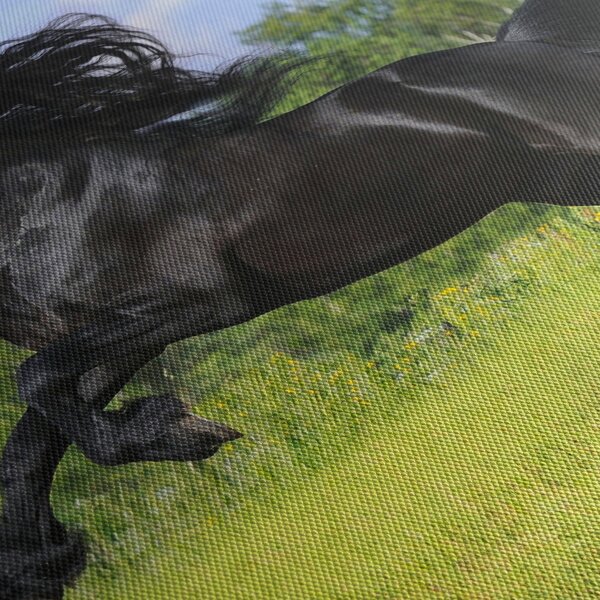 Kép - Ló hullámzó sörénnyel (150x105 cm)