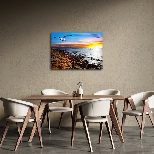 Kép - Sirály repül a tengerpart felett (70x50 cm)