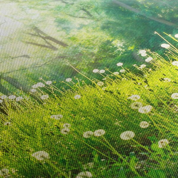 Kép - Varázslatos rét tele pitypanggal (120x50 cm)
