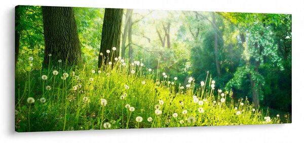Kép - Varázslatos rét tele pitypanggal (120x50 cm)