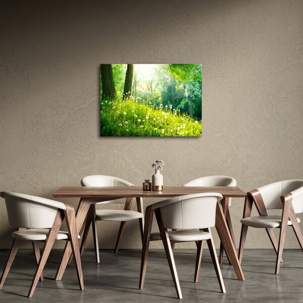 Kép - Varázslatos rét tele pitypanggal (70x50 cm)