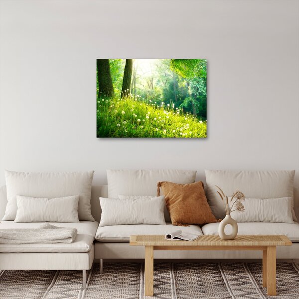 Kép - Varázslatos rét tele pitypanggal (70x50 cm)