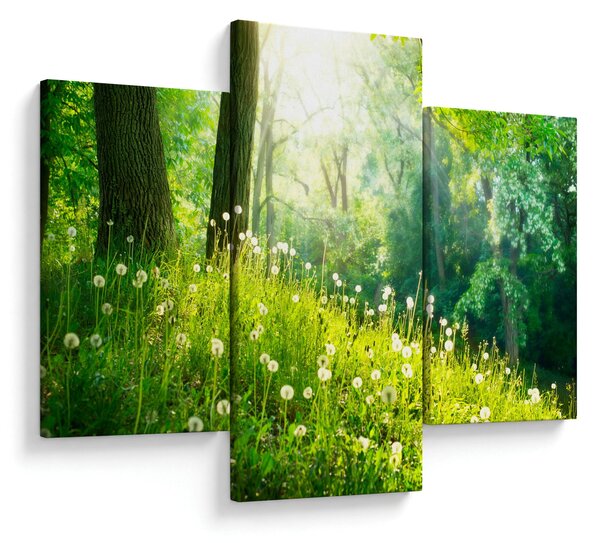 Kép - Varázslatos rét tele pitypanggal (90x60 cm)