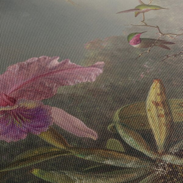 Kép - Martin Johnson Heade, Cattleya Orchid and Three Hummingbirds, reprodukciók (70x50 cm)