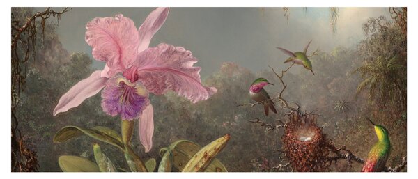 Kép - Martin Johnson Heade, Cattleya Orchid and Three Hummingbirds, reprodukciók (120x50 cm)