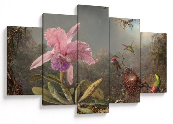 Kép - Martin Johnson Heade, Cattleya Orchid and Three Hummingbirds, reprodukciók (150x105 cm)