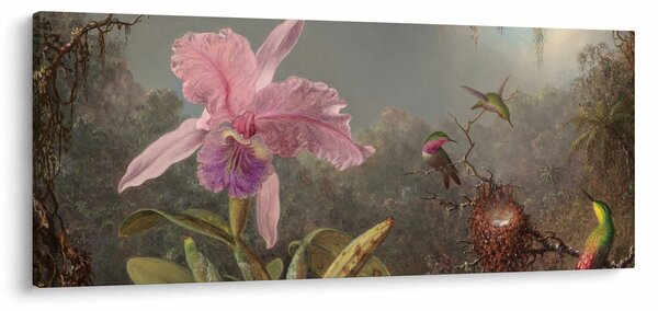 Kép - Martin Johnson Heade, Cattleya Orchid and Three Hummingbirds, reprodukciók (120x50 cm)