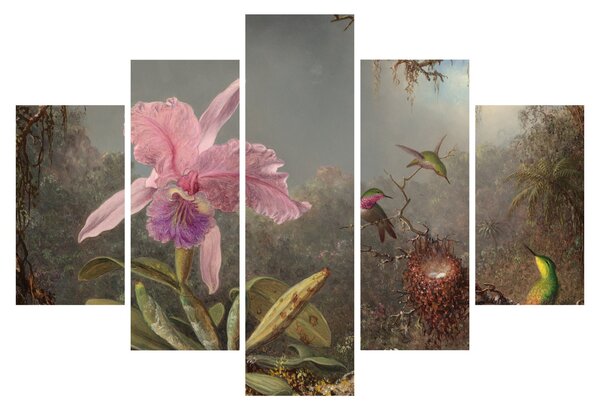 Kép - Martin Johnson Heade, Cattleya Orchid and Three Hummingbirds, reprodukciók (150x105 cm)