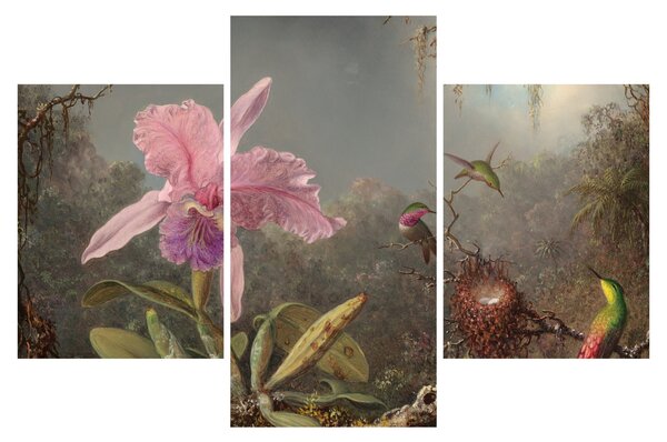 Kép - Martin Johnson Heade, Cattleya Orchid and Three Hummingbirds, reprodukciók (90x60 cm)
