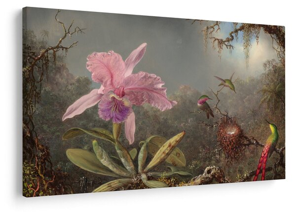 Kép - Martin Johnson Heade, Cattleya Orchid and Three Hummingbirds, reprodukciók (90x60 cm)