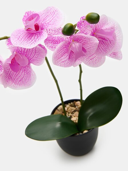 Sinsay - Mesterséges dekoratív orchidea cserépben - levendula