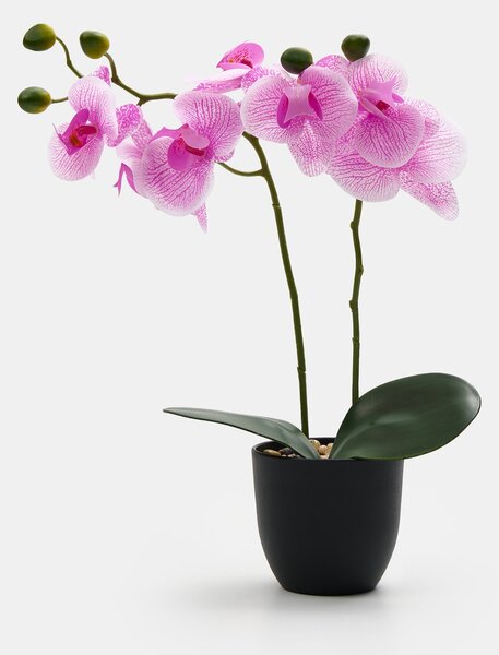 Sinsay - Mesterséges dekoratív orchidea cserépben - levendula
