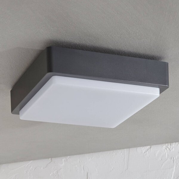 Lindby LED kültéri mennyezeti világítás Nermin, 22 cm, IP65, szögletes, Fekete, Műanyag, Modern