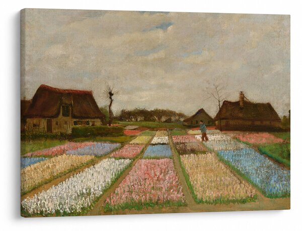 Kép - Vincent van Gogh, Flower Beds in Holland, reprodukciók (70x50 cm)