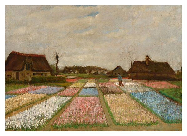 Kép - Vincent van Gogh, Flower Beds in Holland, reprodukciók (70x50 cm)