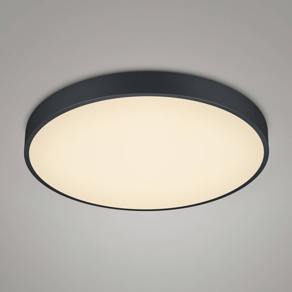 Trio Lighting LED mennyezeti lámpa Waco, CCT, Ø 49,5 cm, fekete matt, dimmelhető, Fekete, Nappali / Étkező, fém