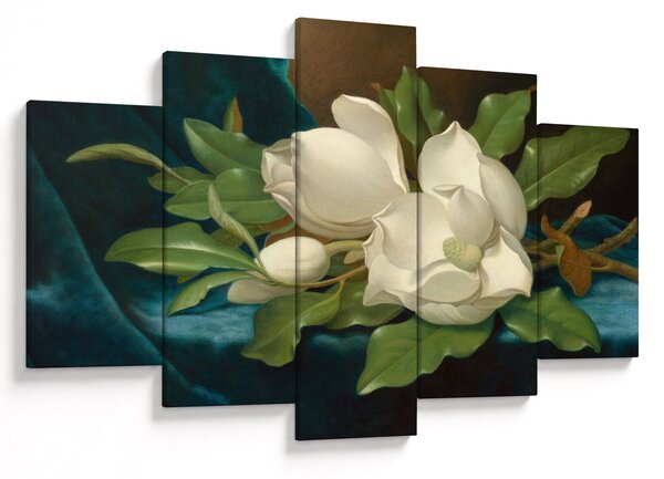Kép - Martin Johnson Heade, Giant Magnolias on a Blue Velvet Cloth, reprodukciók (150x105 cm)