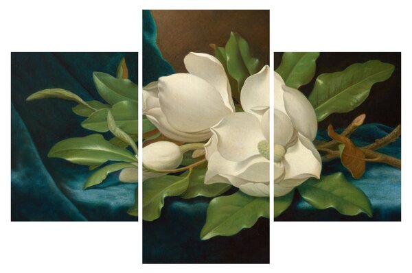 Kép - Martin Johnson Heade, Giant Magnolias on a Blue Velvet Cloth, reprodukciók (90x60 cm)