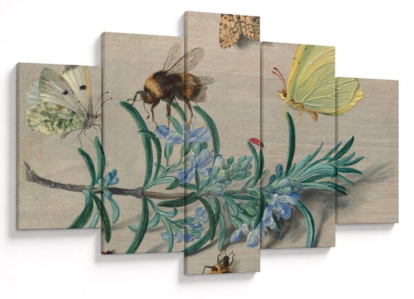 Kép - Jan van Kessel the Elder, Insects and a Sprig of Rosemary, reprodukciók (150x105 cm)