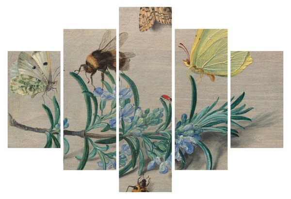 Kép - Jan van Kessel the Elder, Insects and a Sprig of Rosemary, reprodukciók (150x105 cm)