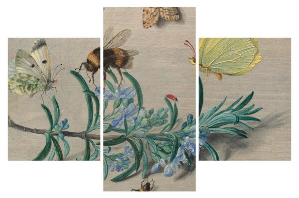 Kép - Jan van Kessel the Elder, Insects and a Sprig of Rosemary, reprodukciók (90x60 cm)