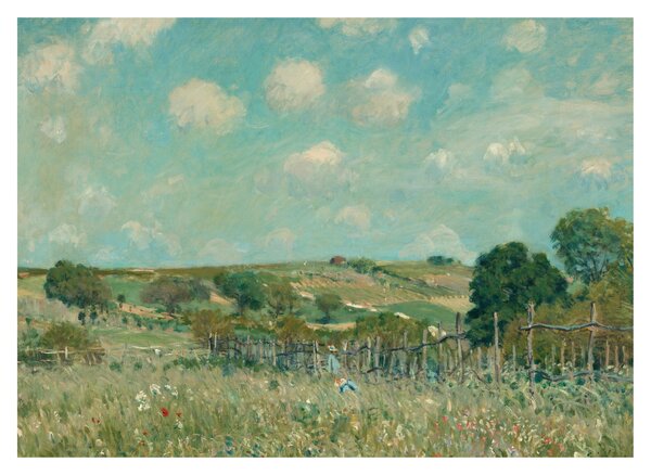 Kép - Alfred Sisley, Meadow, reprodukciók (70x50 cm)