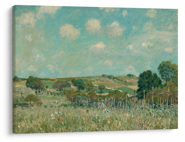 Kép - Alfred Sisley, Meadow, reprodukciók (70x50 cm)