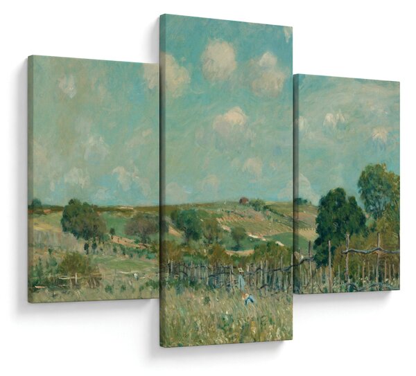 Kép - Alfred Sisley, Meadow, reprodukciók (90x60 cm)