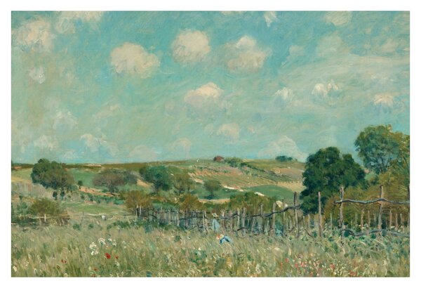Kép - Alfred Sisley, Meadow, reprodukciók (90x60 cm)
