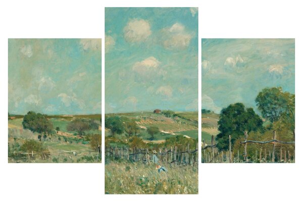 Kép - Alfred Sisley, Meadow, reprodukciók (90x60 cm)