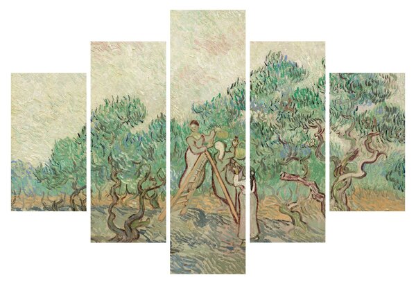 Kép - Vincent van Gogh, The Olive Orchard, reprodukciók (150x105 cm)