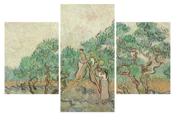 Kép - Vincent van Gogh, The Olive Orchard, reprodukciók (90x60 cm)