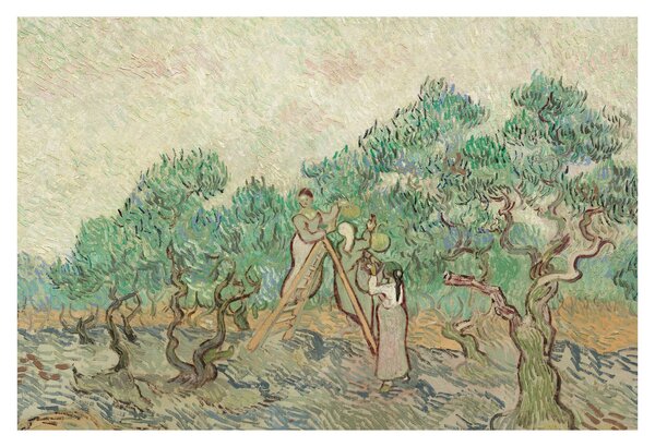 Kép - Vincent van Gogh, The Olive Orchard, reprodukciók (90x60 cm)