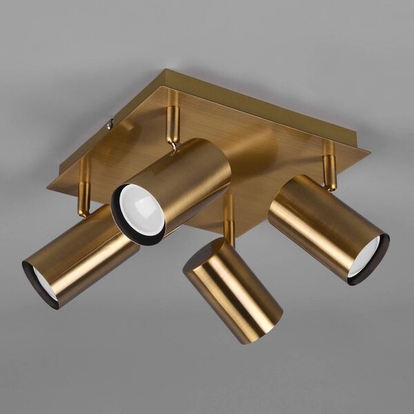 Trio Lighting Marley mennyezeti spotlámpa, antik sárgaréz, 4 lámpás, dimmelhető, Bronz / antik sárgaréz, Nappali / Étkező, fém, Modern