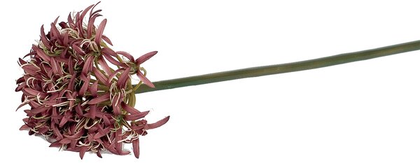 Lila gömb formájú - hosszú szárú művirág