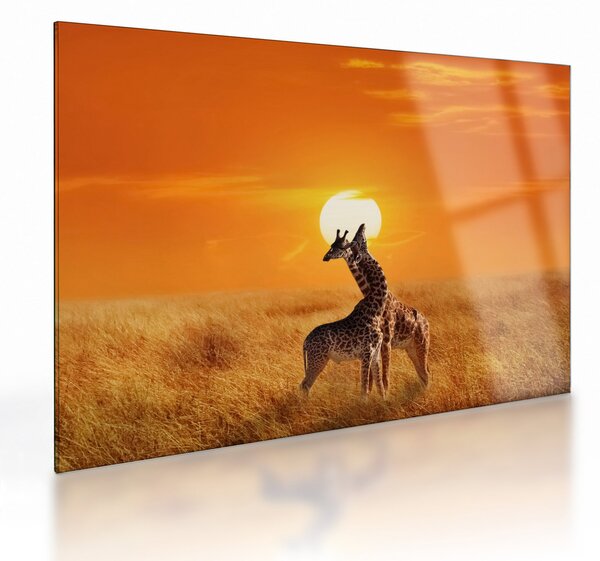 Üveg kép - Zsiráfok a Serengeti Nemzeti Parkban (70x50 cm)