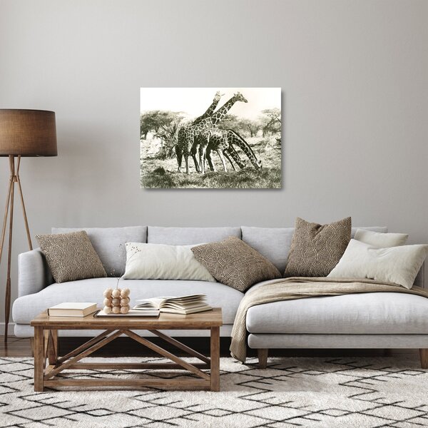 Üveg kép - Zsiráfok, vintage (70x50 cm)