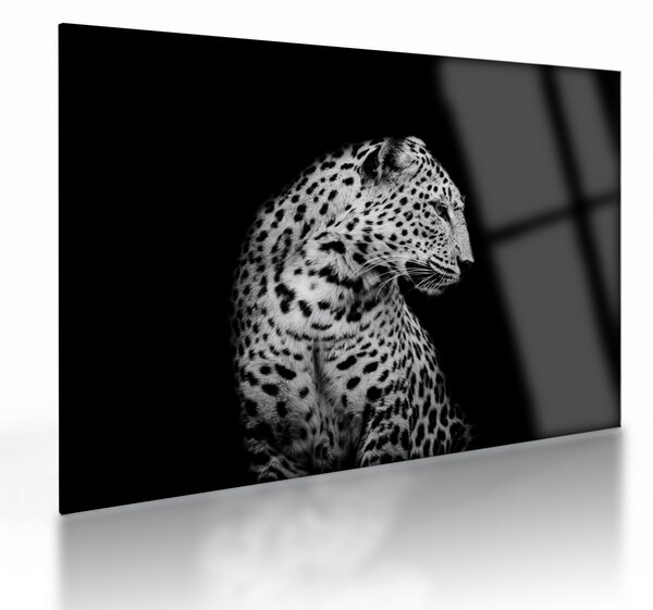 Üveg kép - Leopárd (70x50 cm)