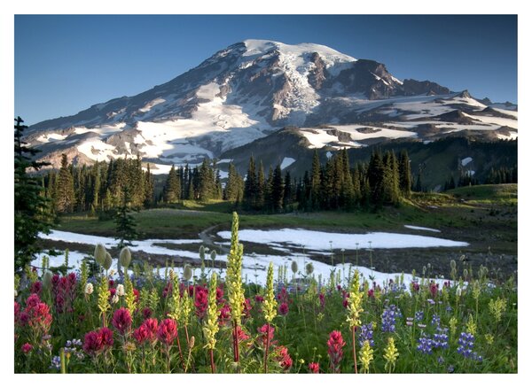 Üveg kép - Mount Rainier (70x50 cm)