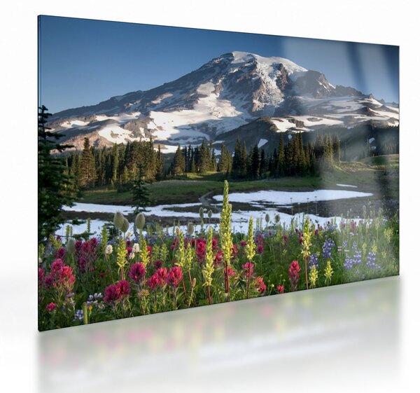 Üveg kép - Mount Rainier (70x50 cm)