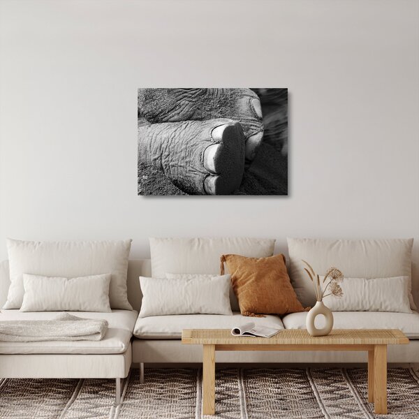 Üveg kép - Elefánt láb (70x50 cm)