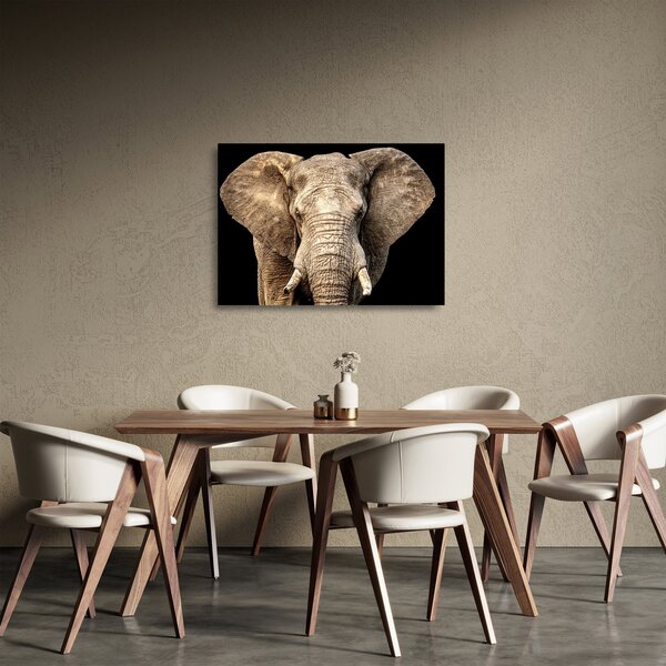 Üveg kép - Afrikai elefánt (70x50 cm)