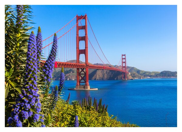 Üveg kép - Golden Gate híd, San Francisco (70x50 cm)