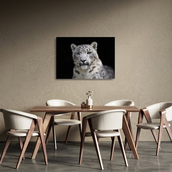 Üveg kép - Snow Leopard (70x50 cm)