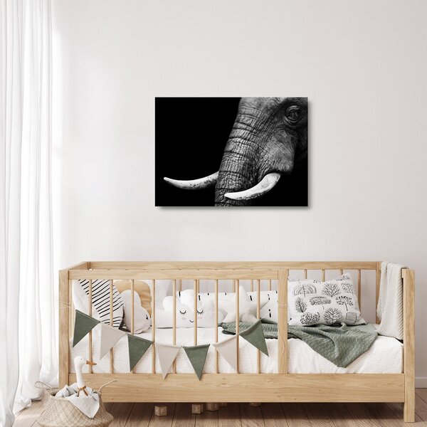 Üveg kép - Elefánt agyar (70x50 cm)