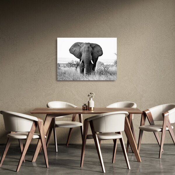 Üveg kép - Afrikai elefánt II. (70x50 cm)