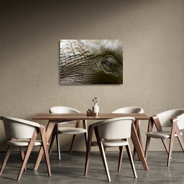 Üveg kép - Közelkép az öreg elefánt szeméről (70x50 cm)