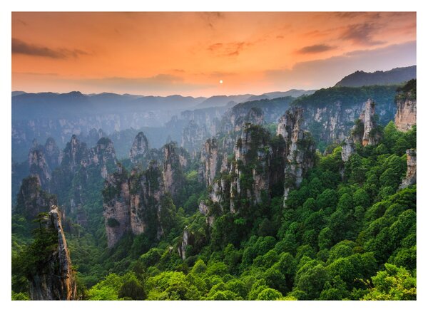 Üveg kép - Zhangjiajie Nemzeti Erdei Park (70x50 cm)